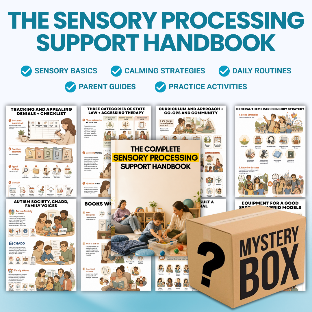 Sensory Support Mystery Box