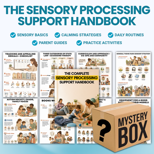 Sensory Support Mystery Box